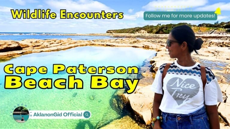 Island travel: Wildlife Encounters.