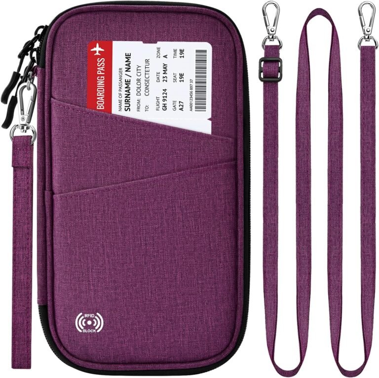 Travel document organizer