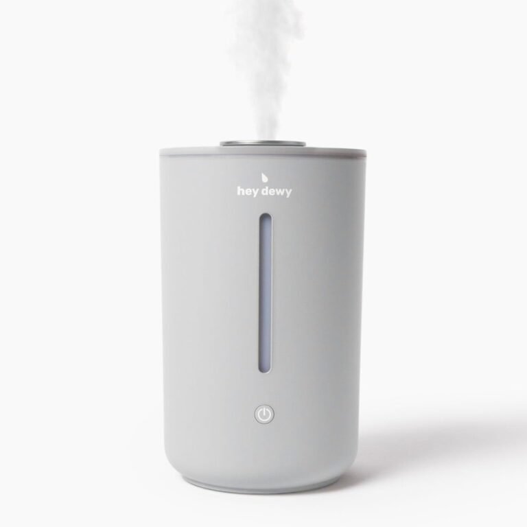 Portable humidifier