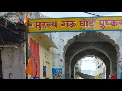 solo travel: Cultural Festivals