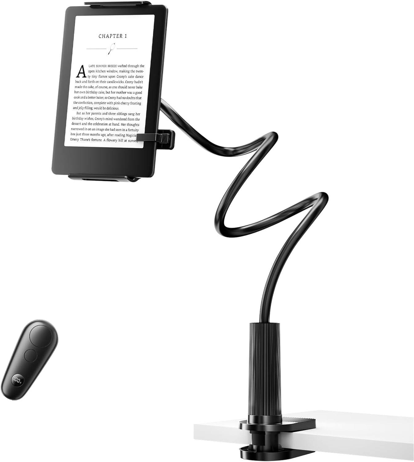 Gadget eBook Readers & Accessories