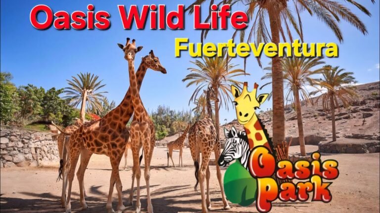 Island travel: Wildlife Safaris