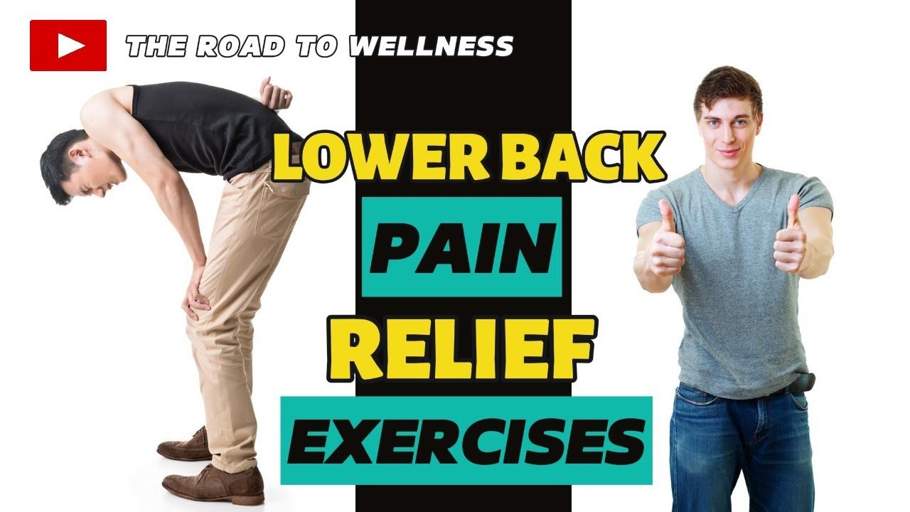 Back Pain Rehabilitation Exercises