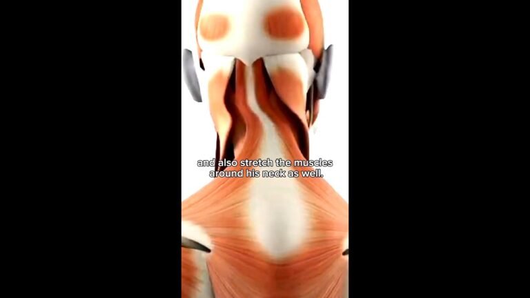 Neck and Shoulder Pain Rehabilitation