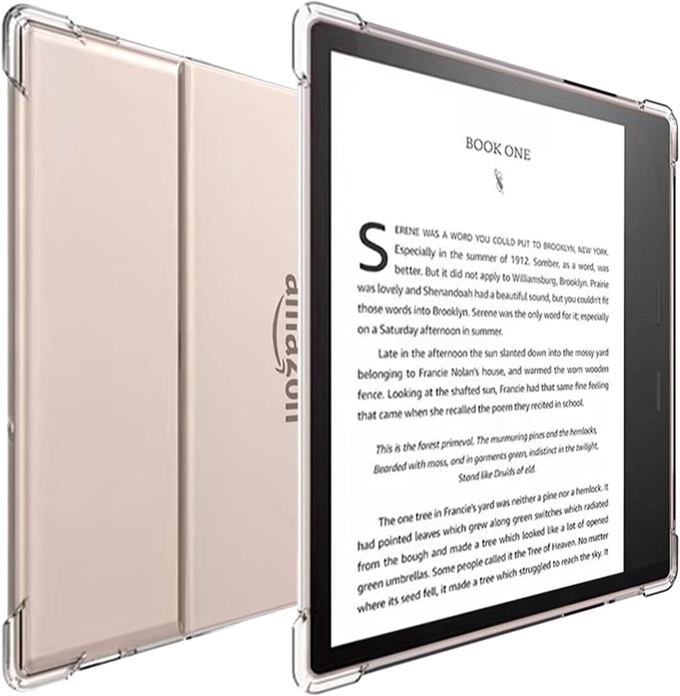 Kindle Oasis
