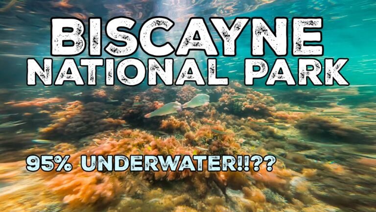 Island travel: Snorkeling Adventures