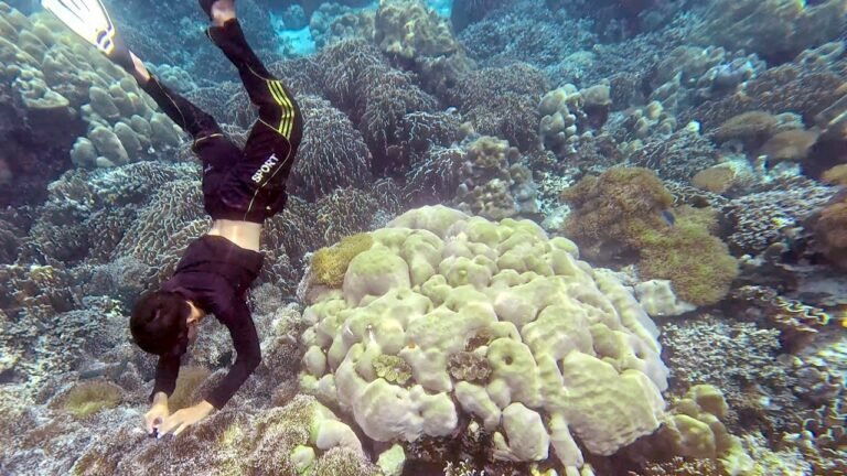 Island travel: Snorkeling Adventures