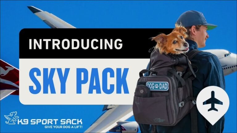 Airplane travel: Pet Travel