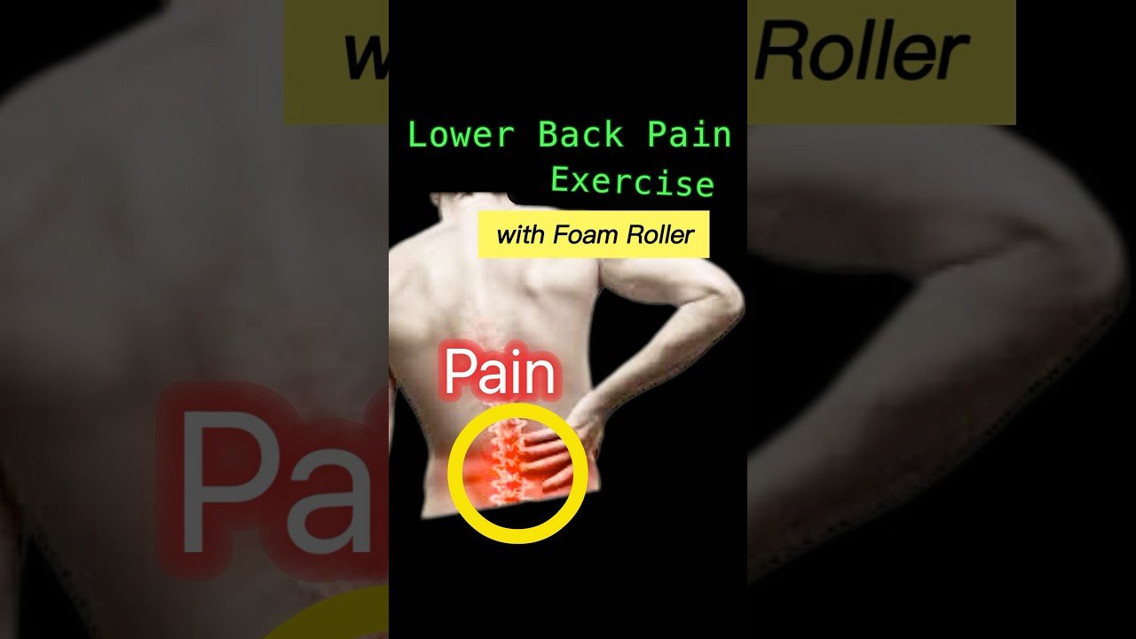 Best Stretches for Back Pain