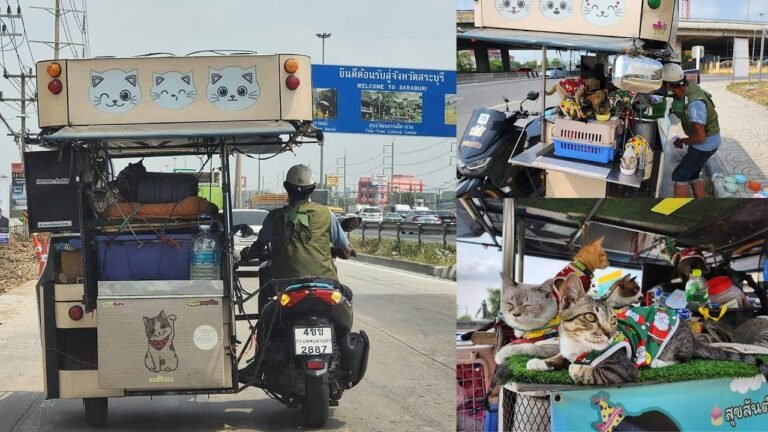 Motorcycle Food and motorcycle travel