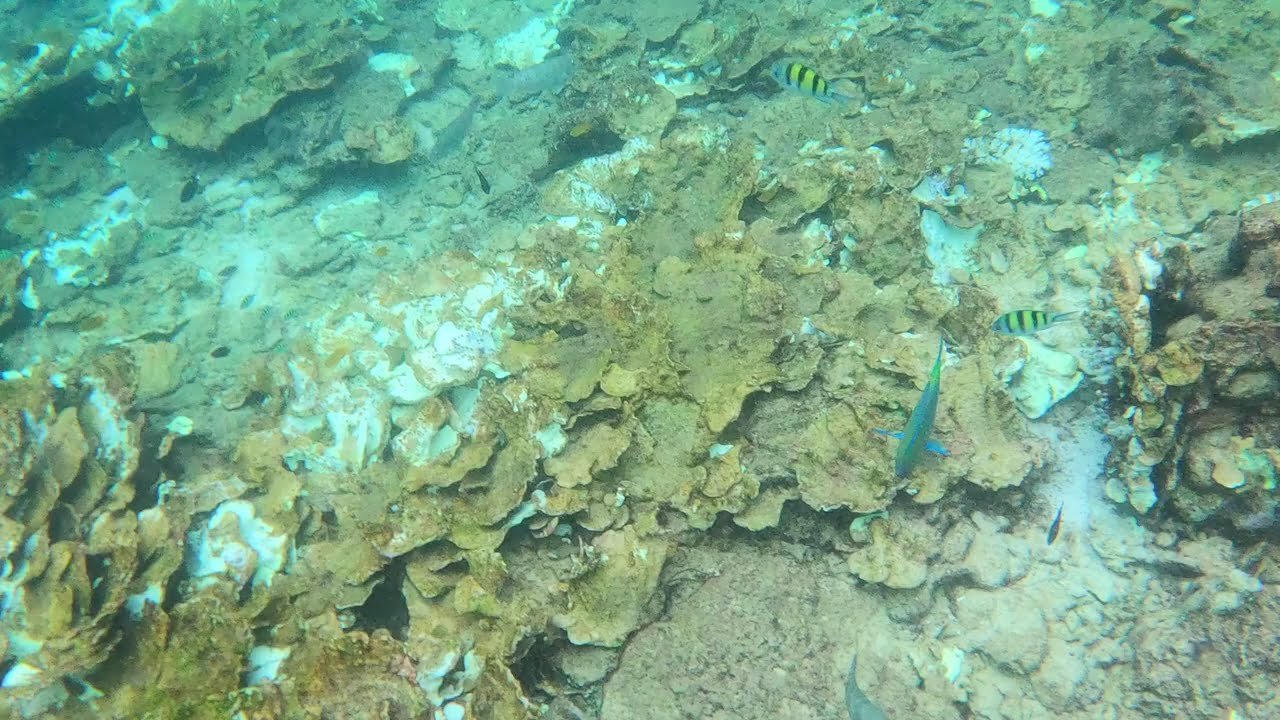 Island travel: Snorkeling Adventures