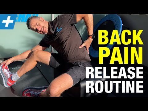 Back Pain Rehabilitation Exercises