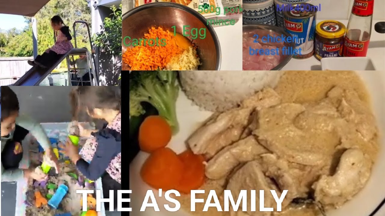 Chinese Food Spring Rolls