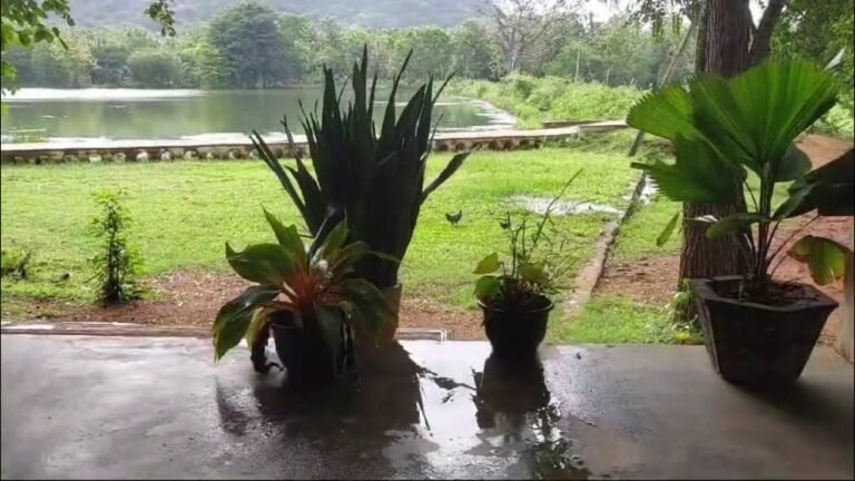 travel Eco-Friendly Resorts