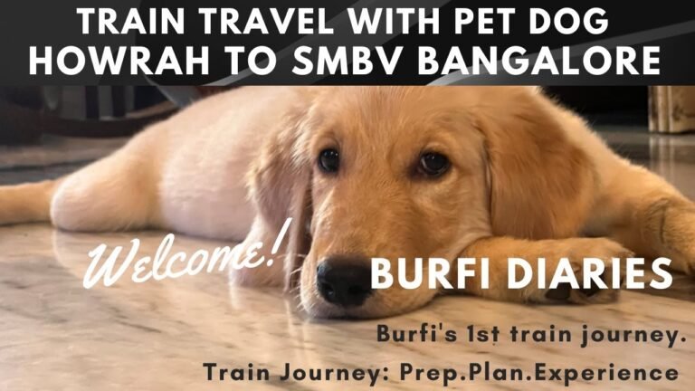 Train travel: Train Schedules