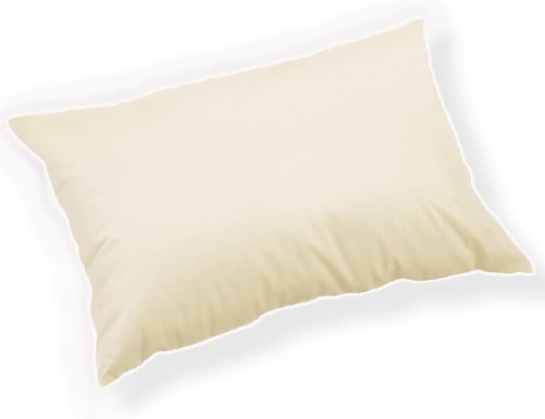 Travel pillow for hotel stays