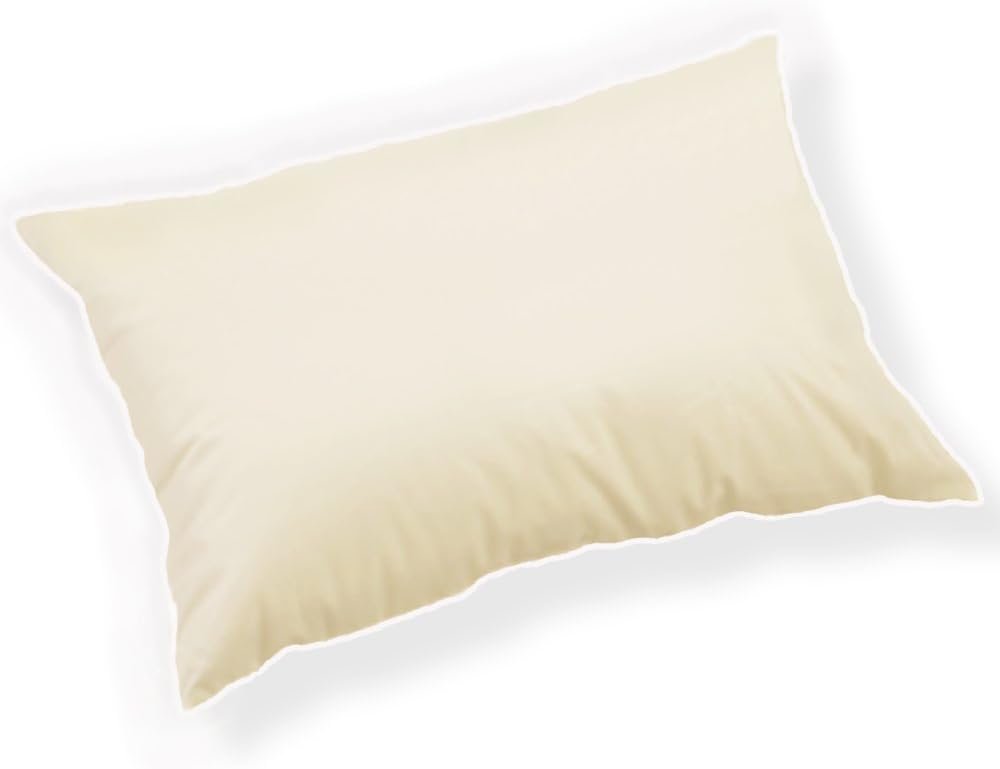 Travel pillow for hotel stays