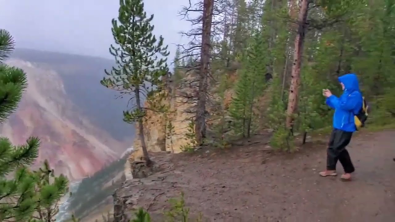 travel Guided Nature Walks