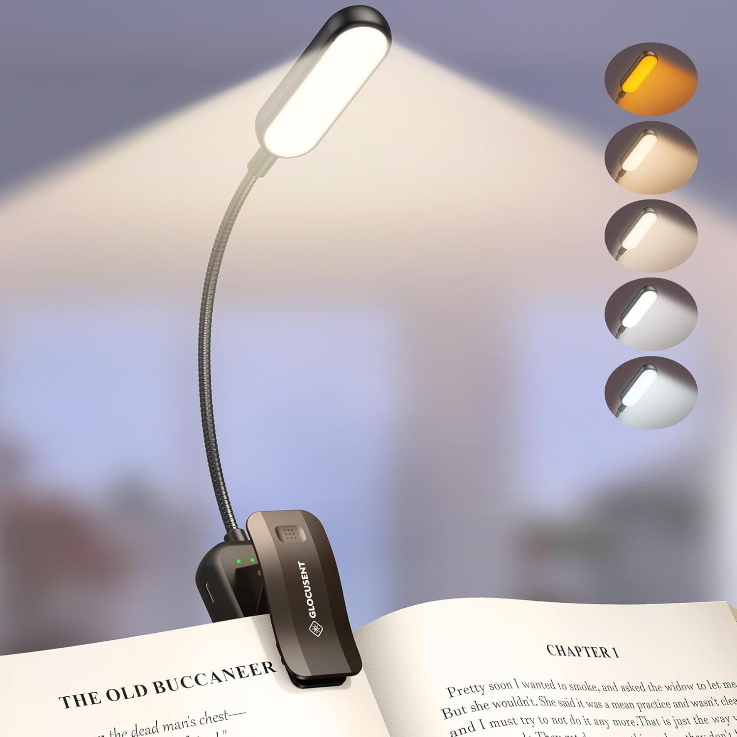 Kindle reading light