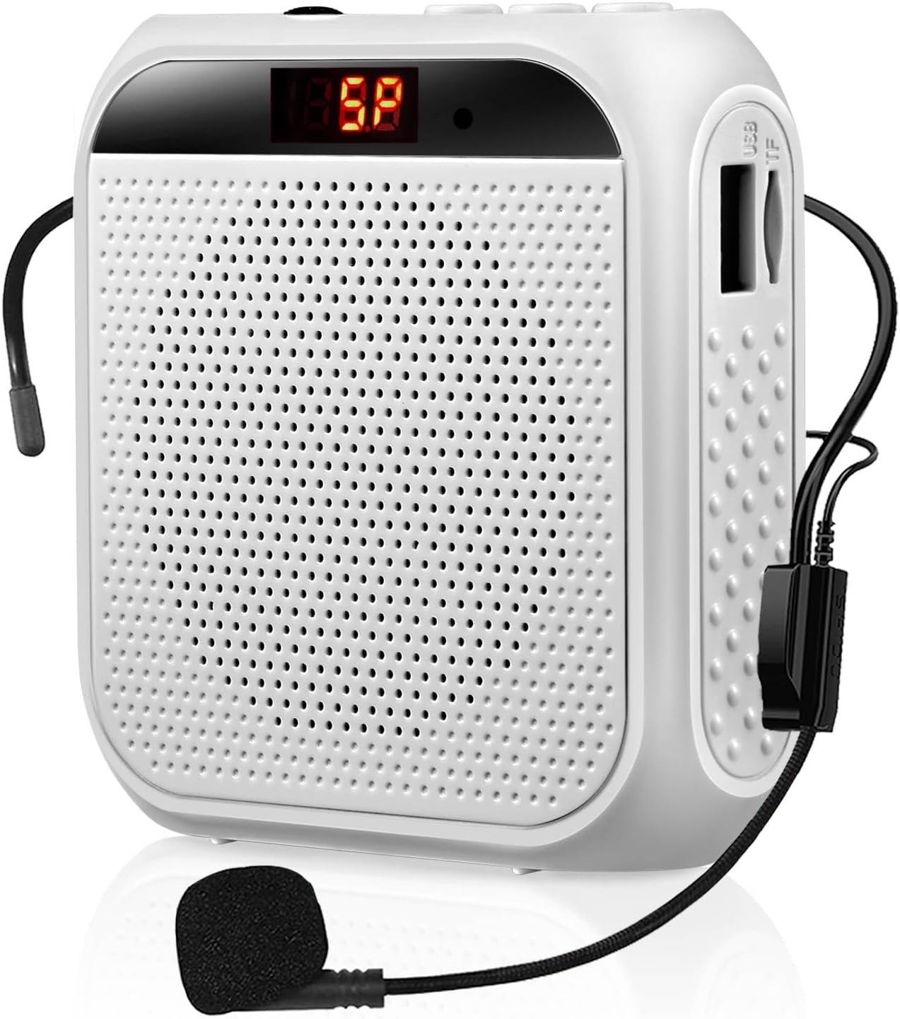 portable speech devices