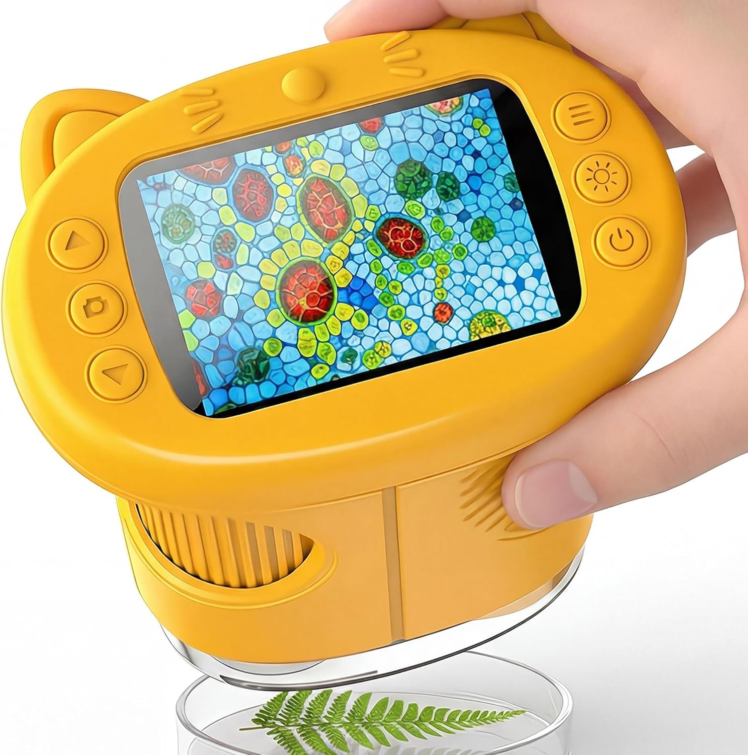 educational magnifying tools