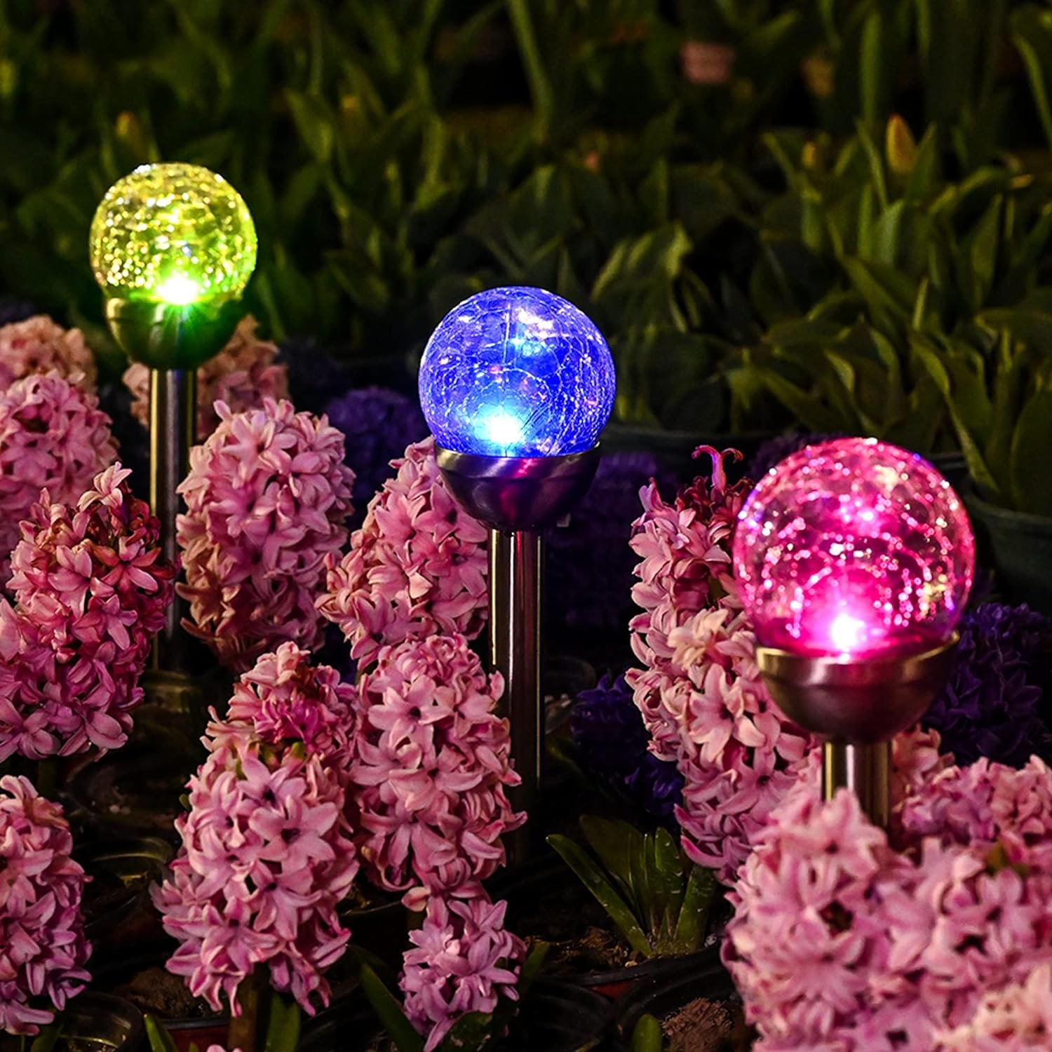 solar garden lights