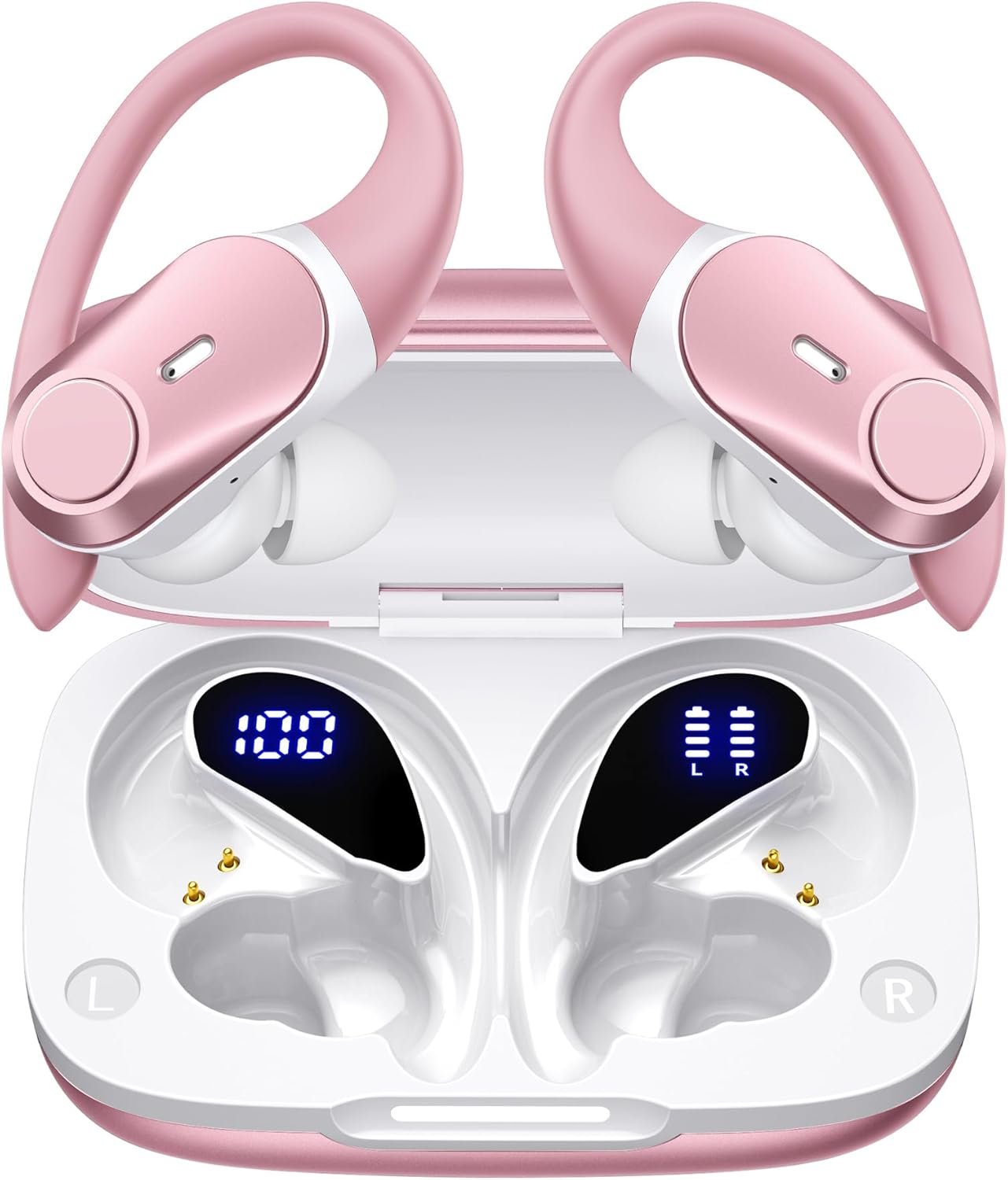 Earbuds & Accessories