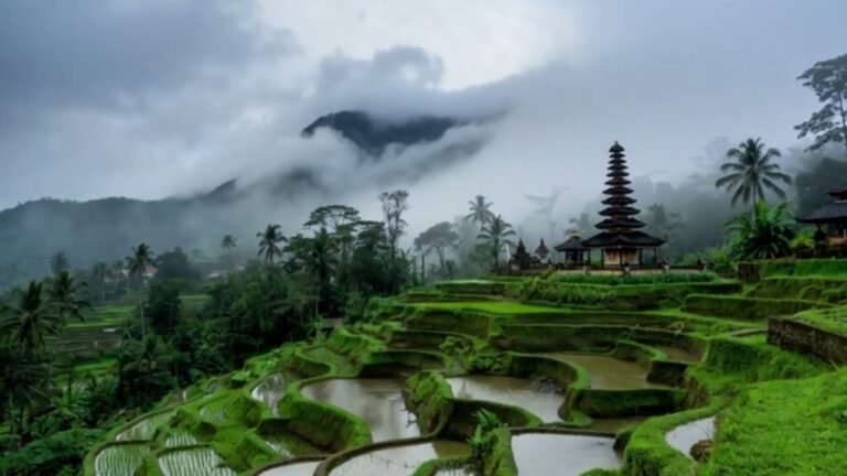 Discover Bali