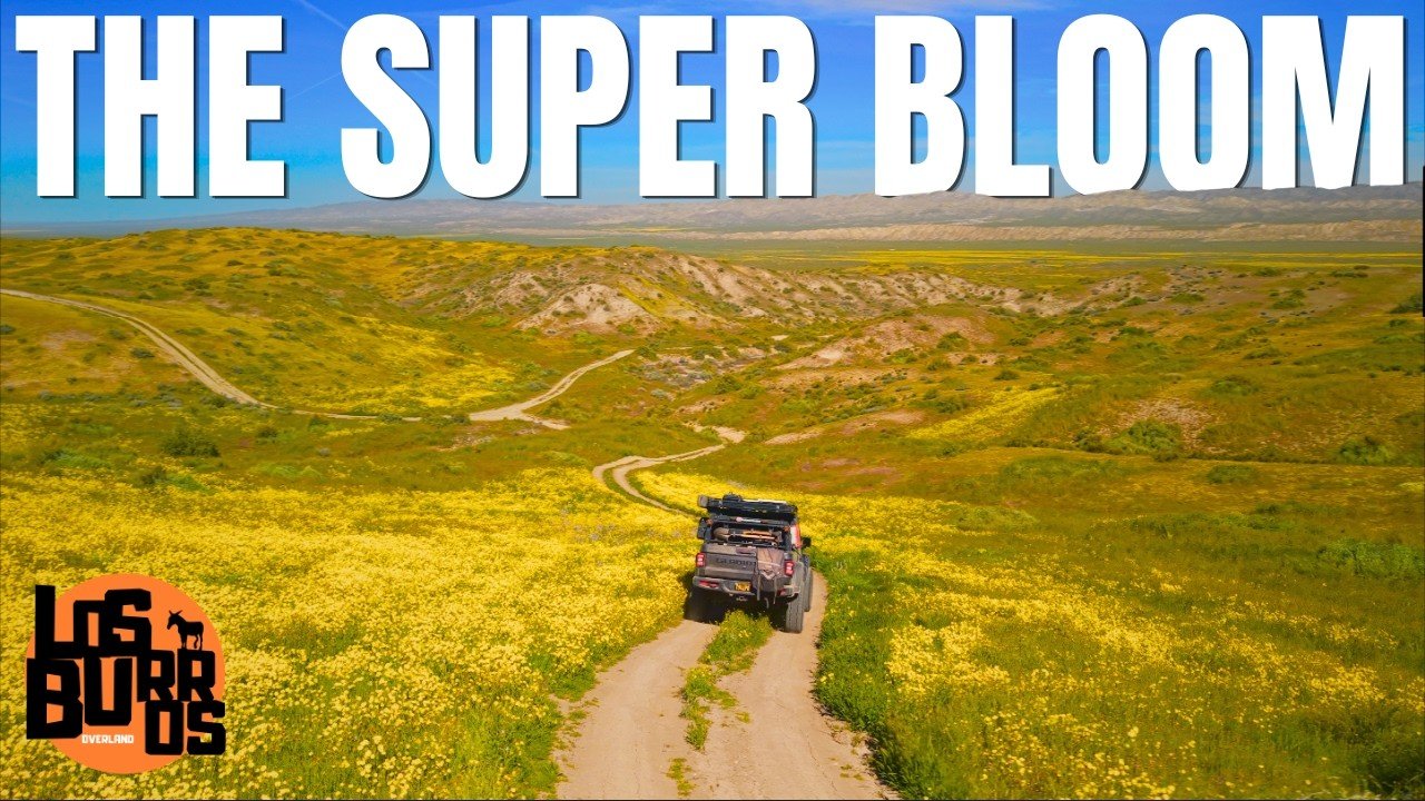 solo travel: Solo Road Trips