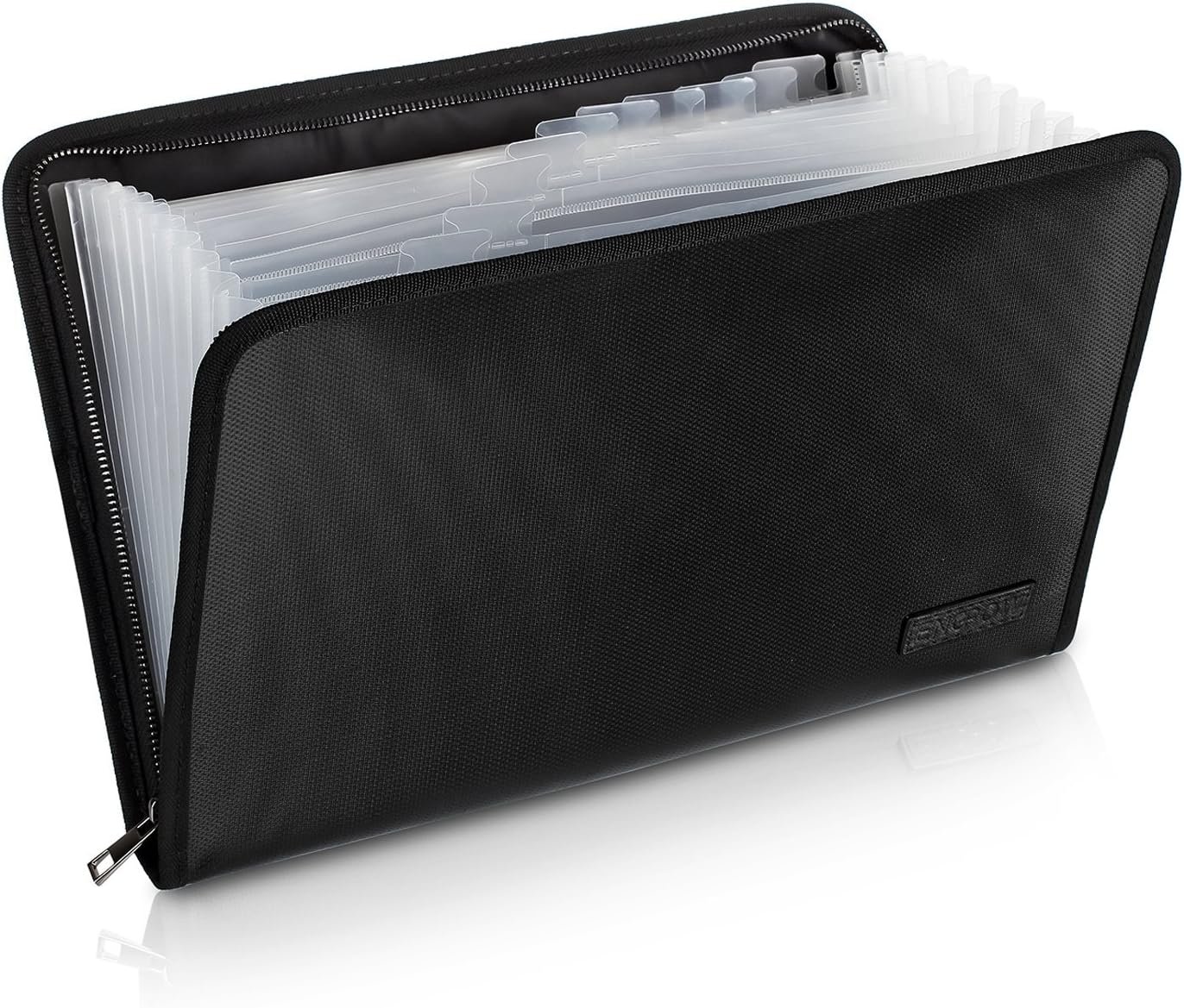 Travel organizer for documents