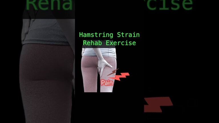 Top knee sleeves for pain