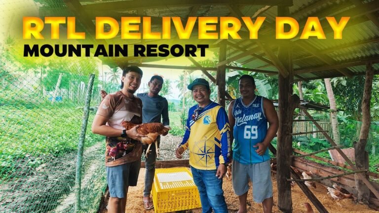 travel Eco-Friendly Resorts