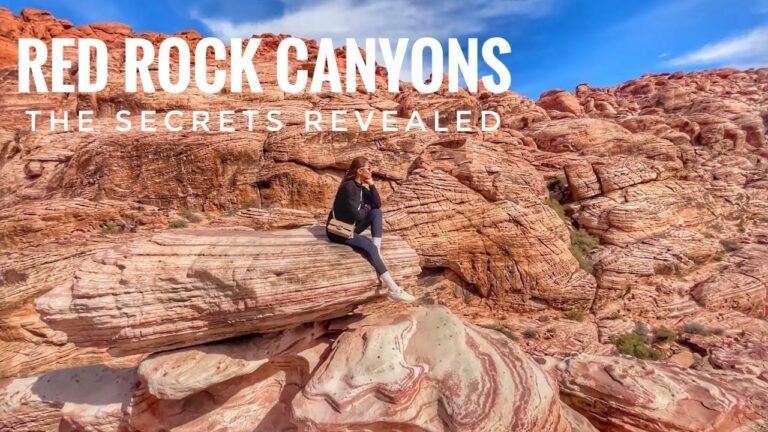 travel Guided Nature Walks