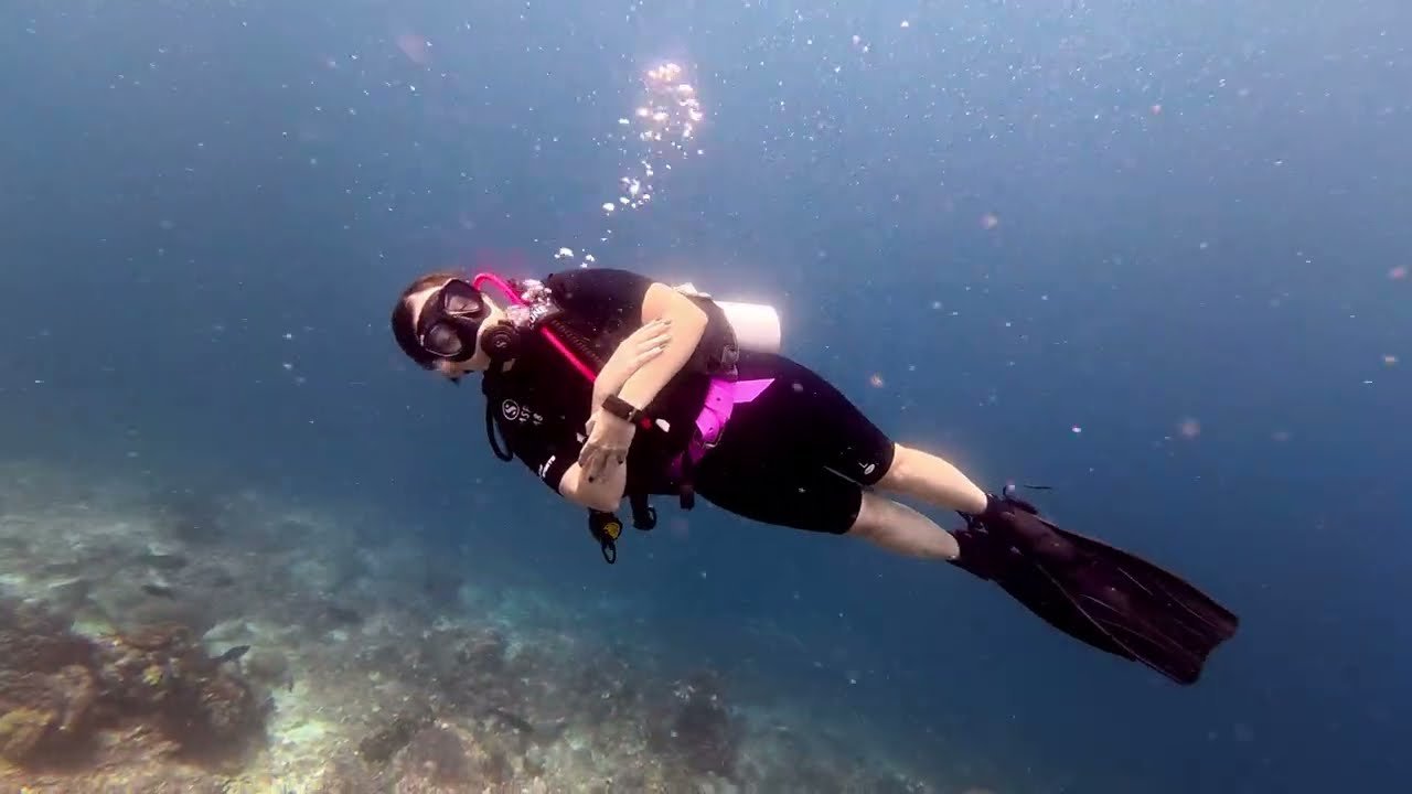 Island travel: Marine Life