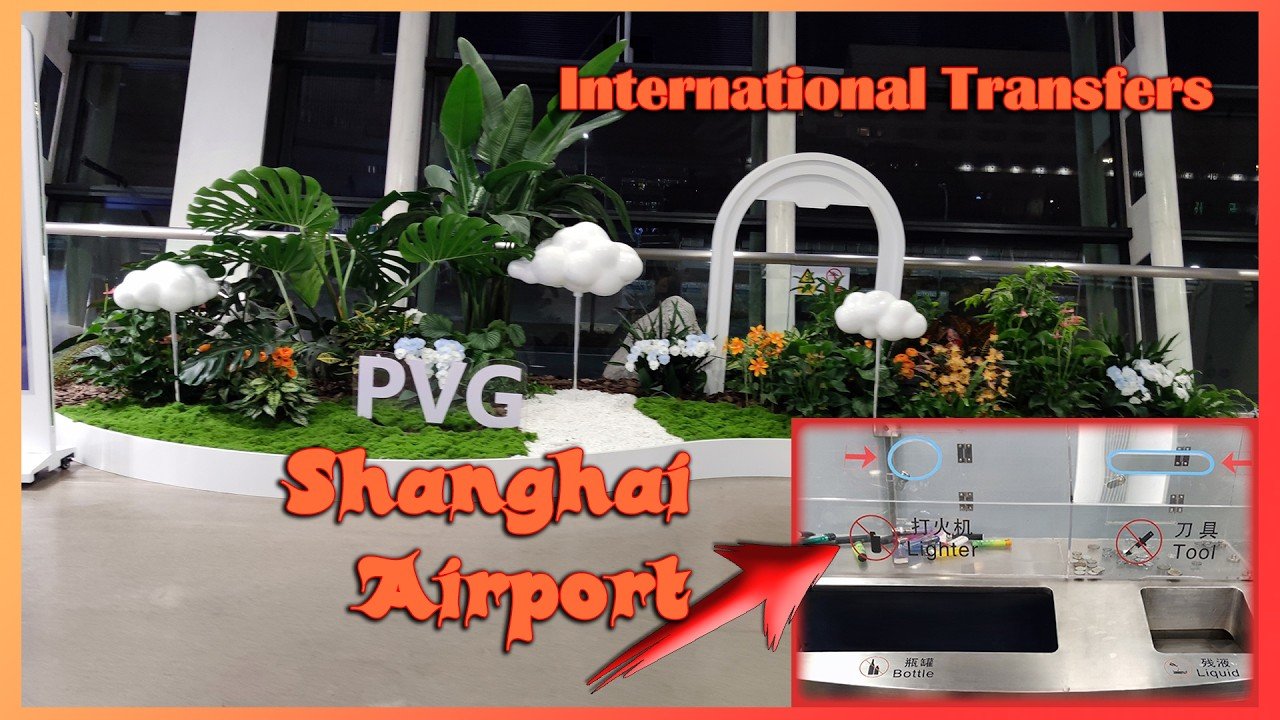 Airplane travel: Airport Transfers