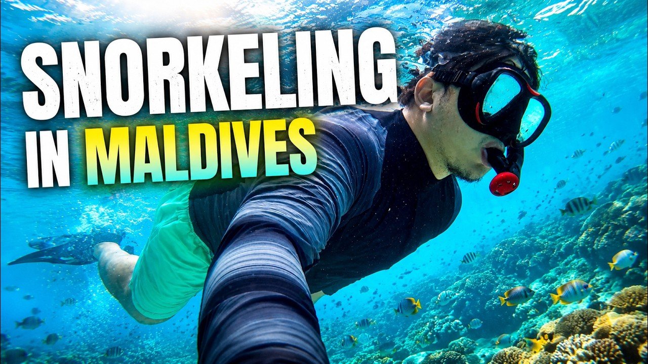 Island travel: Marine Life