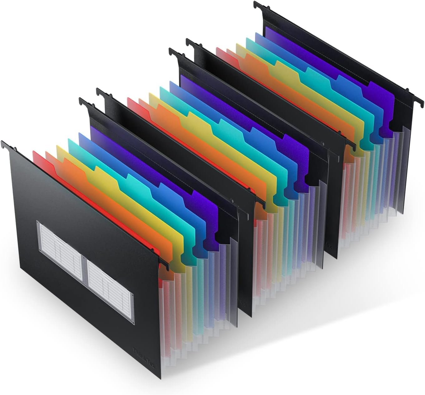 Travel document organizer