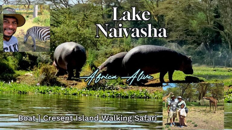 Island travel: Wildlife Safaris