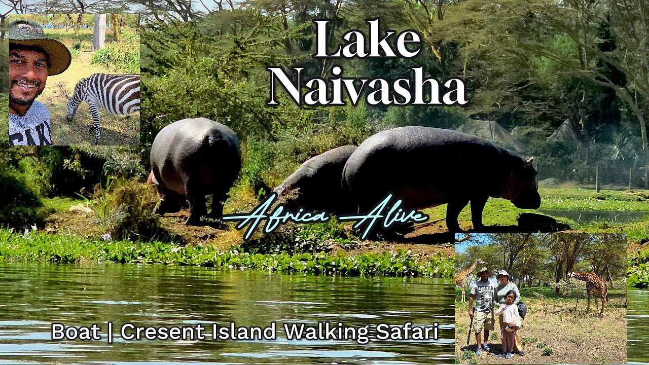 Island travel: Wildlife Safaris