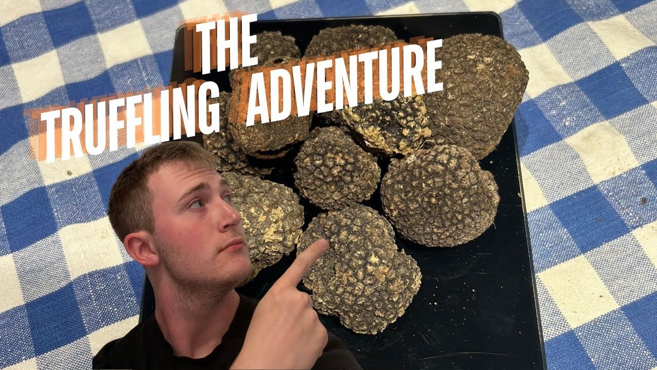 Travel and food Gastronomic adventures