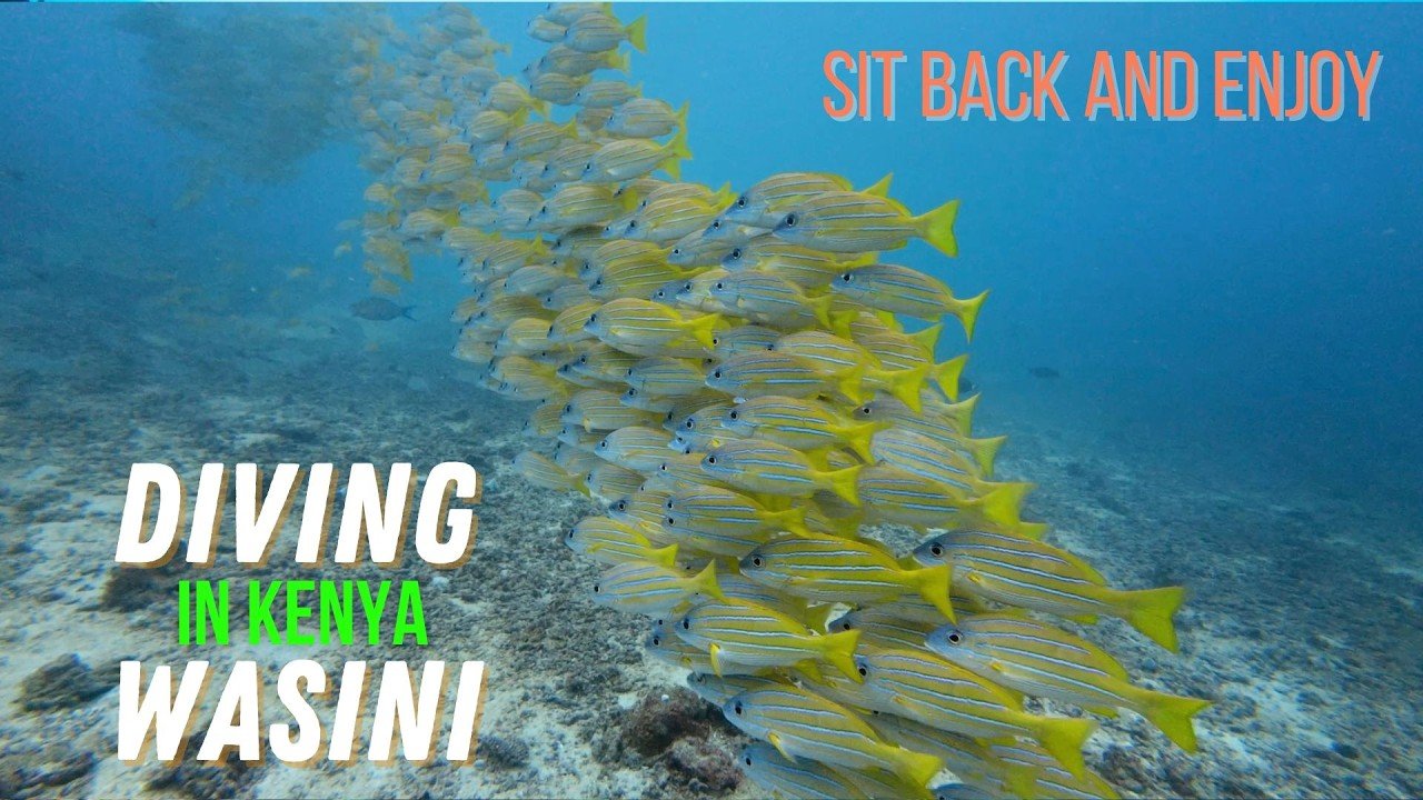 Island travel: Coral Reefs