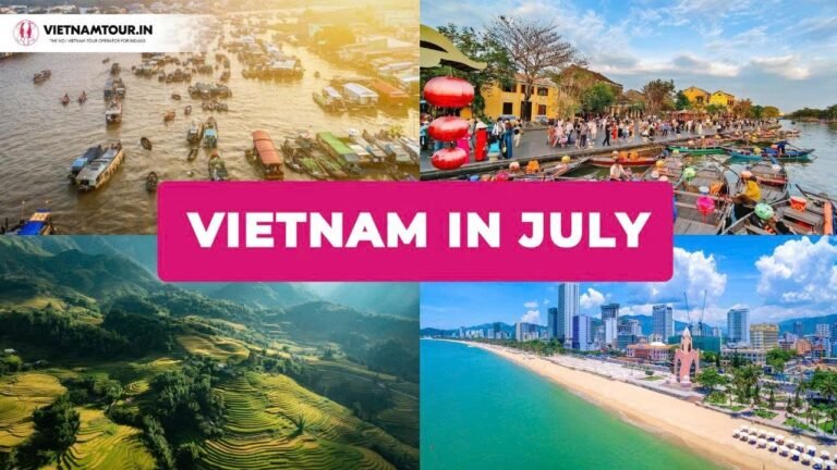 solo travel: Cultural Festivals