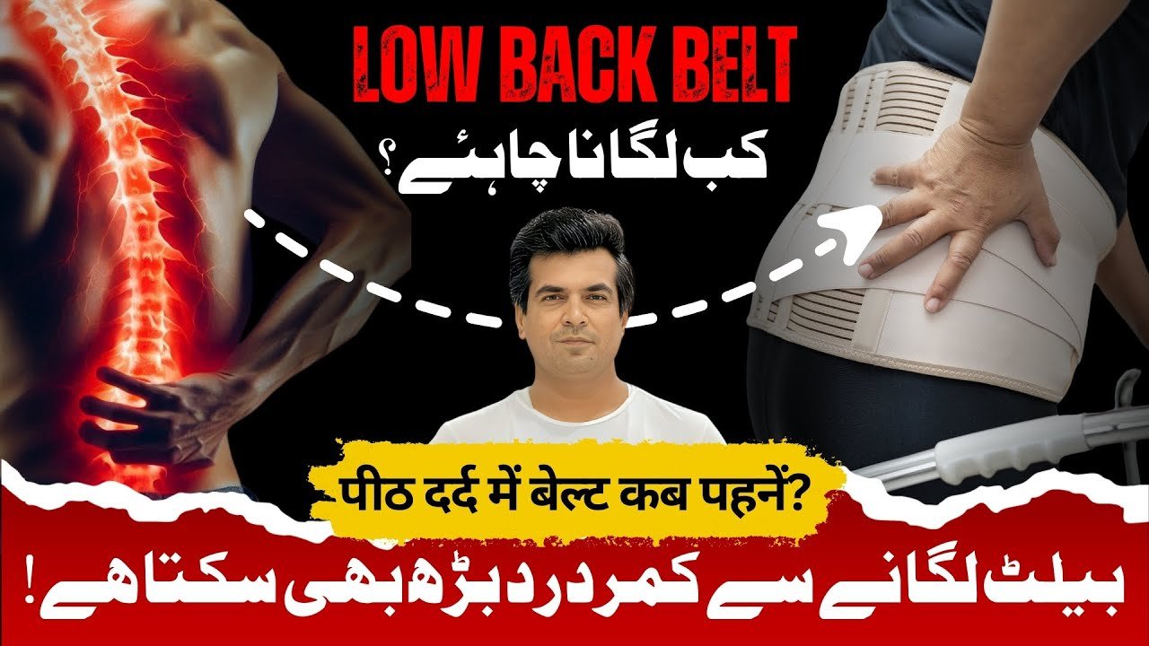 Back Pain Rehabilitation Exercises