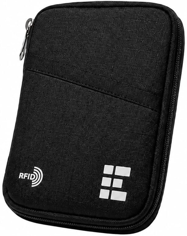 Travel document organizer