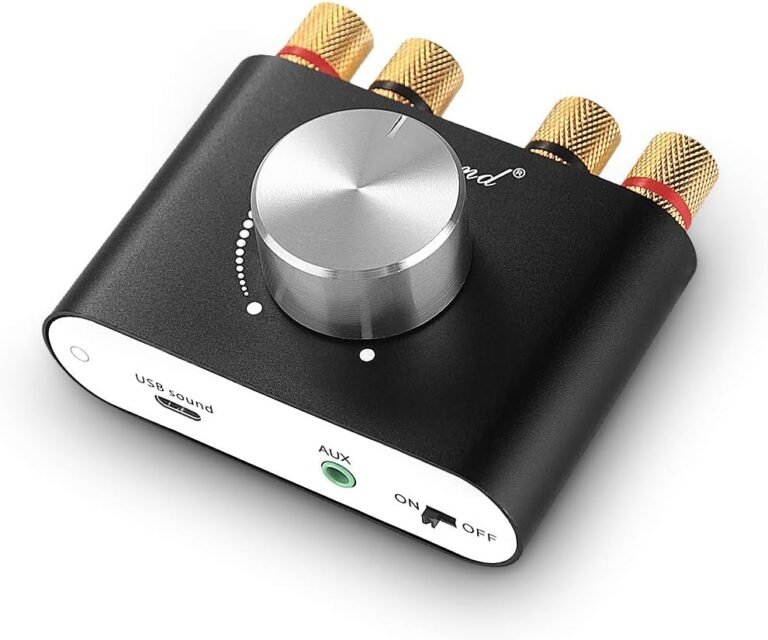 personal amplifiers