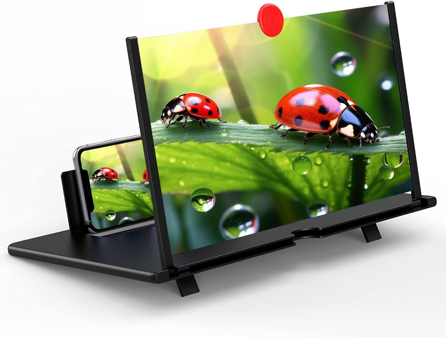video magnifiers