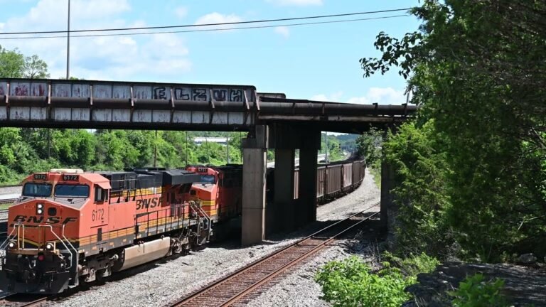 Train travel: Rail Passes