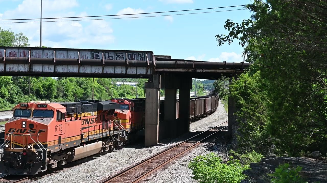 Train travel: Rail Passes