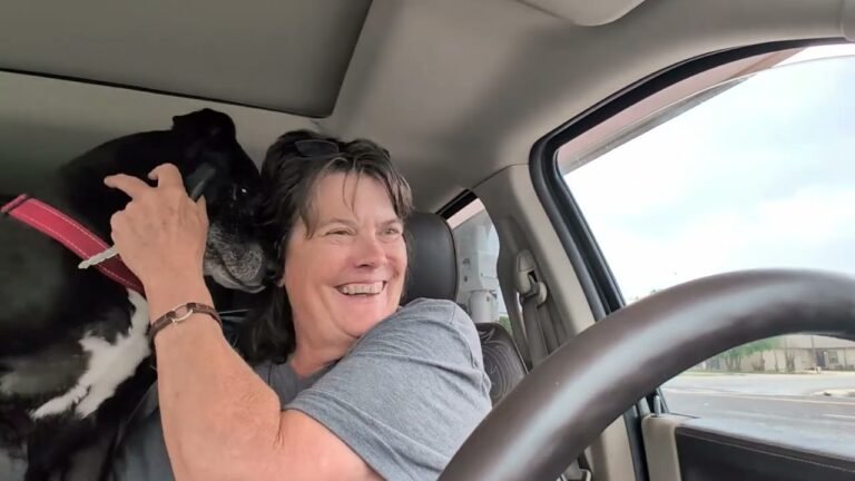 RV TRAVEL and FOOD