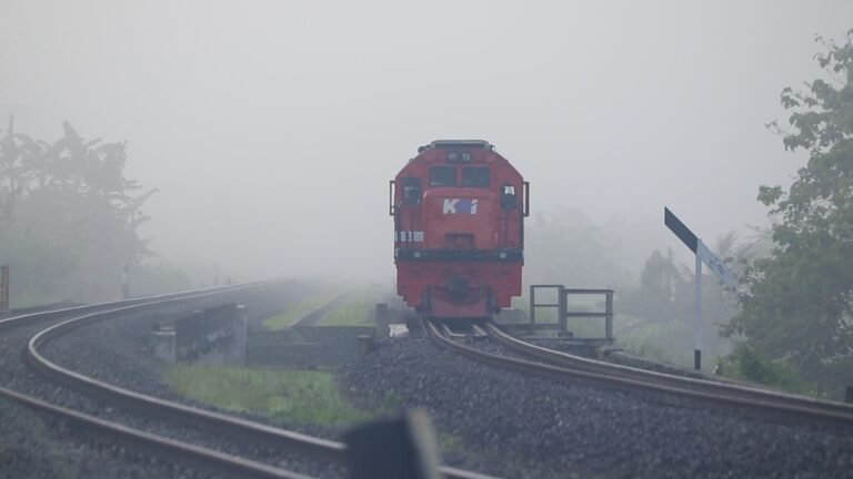 Train travel: Train Tours